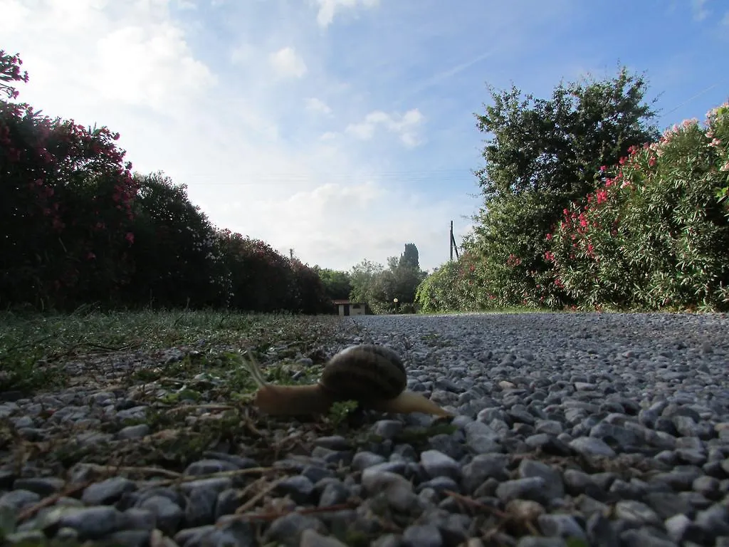 Azienda Agrituristica Allumiere Villa Campiglia Marittima Farm stay