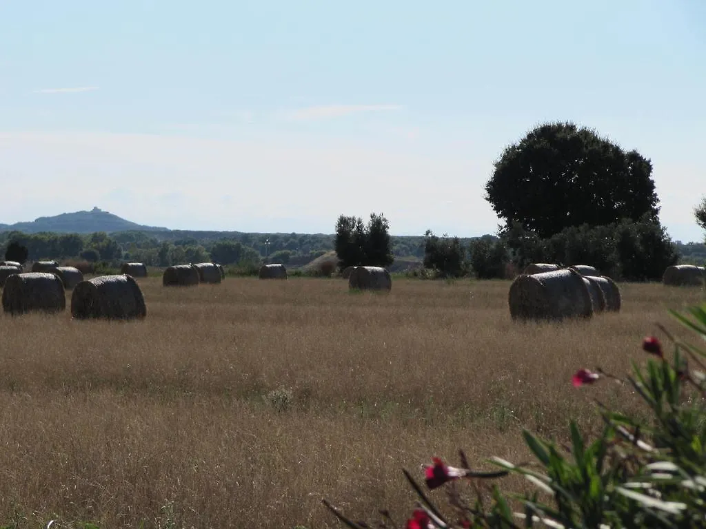 Farm stay Azienda Agrituristica Allumiere Villa Campiglia Marittima Italy
